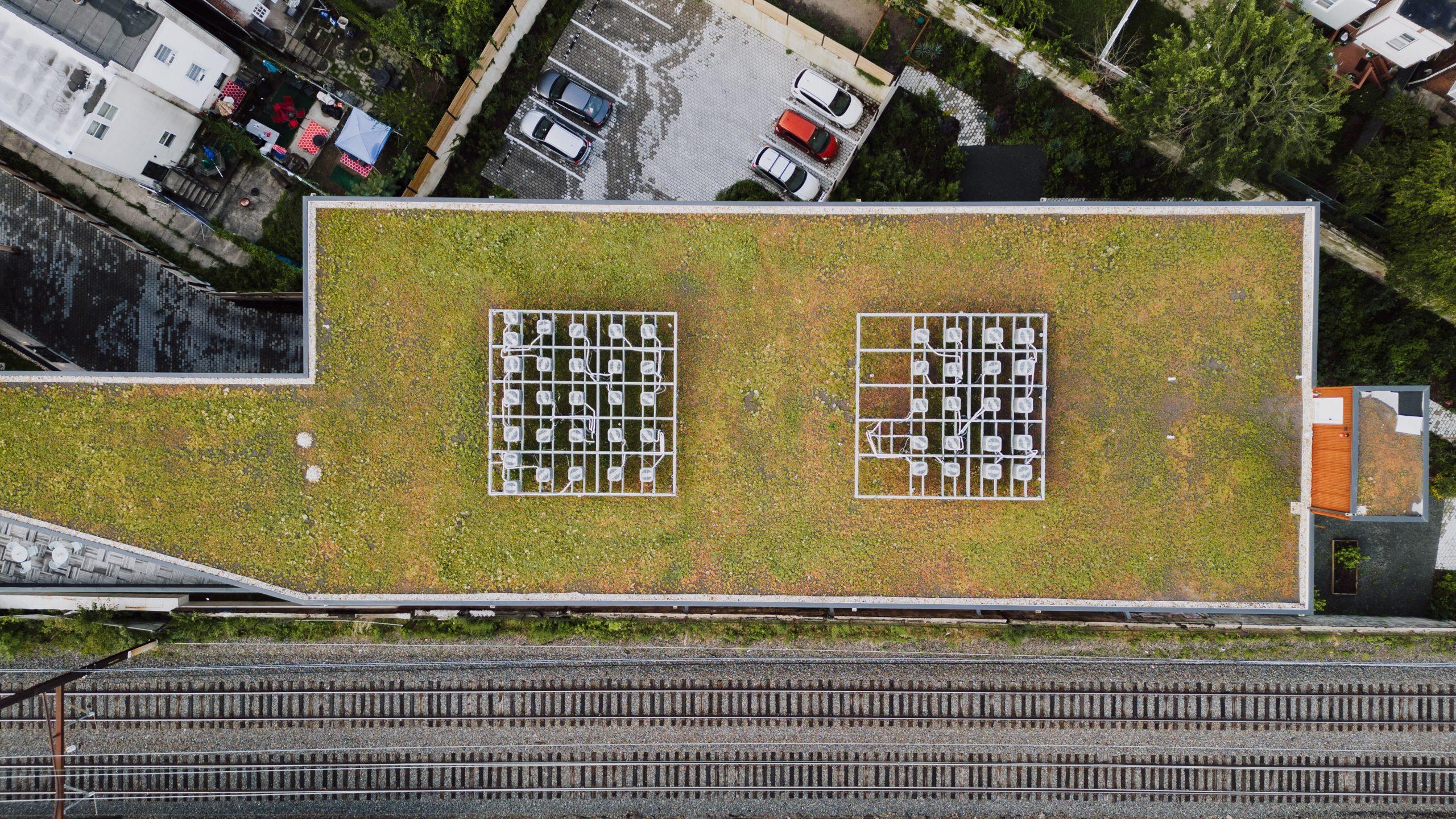Green Roof Example